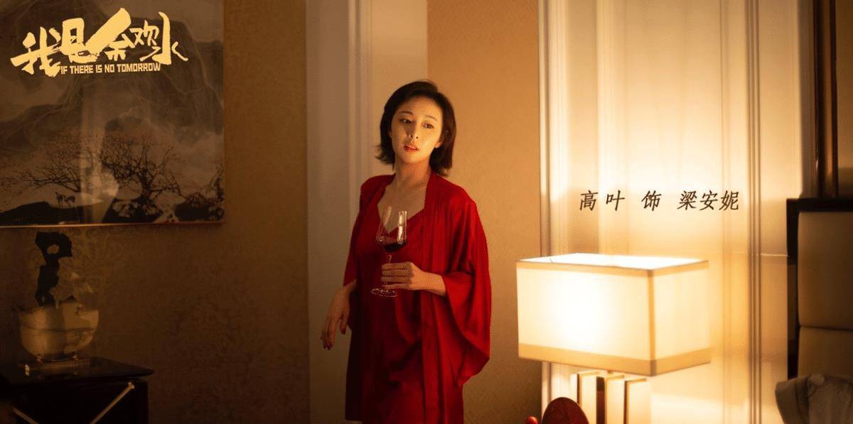 高叶经典角色分析_女明星 主角 配角_高叶演技派演员