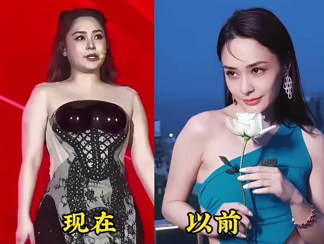 娱乐圈中胖的女明星_娱乐圈中胖胖的女星_胖胖的一个女明星